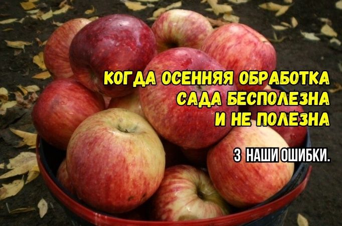 ������ ������� ��������� ����: ��� �� ������� ����� �������