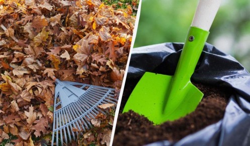 ����������� ������� ������� � ��������� �� ��� ������