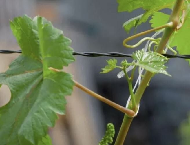 ���� � ����� ��� ��������� ����� �� ����������: ���������� ������������