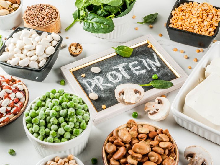 ������ ���� ����� ����� ����� �����: ������ �� ������������ �������