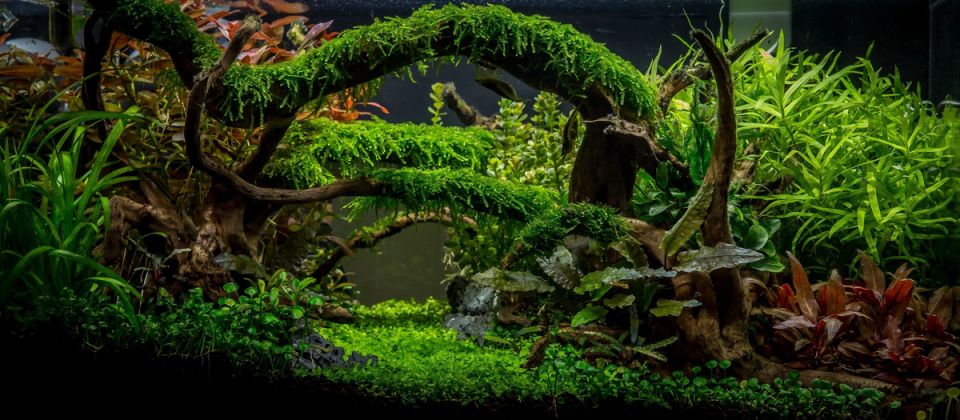 ���������� � ��� ����������