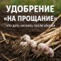 Как правильно подкормить чеснок после уборки: советы для лучших результатов