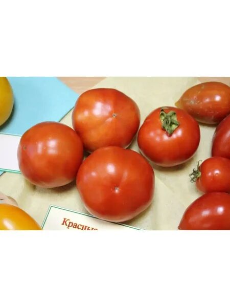 Томат Красные щечки: секрет раннего успеха в вашем огороде