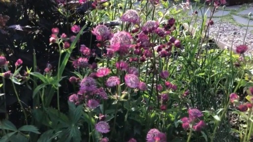 ��� ���������� �������� �������� ��� ���: ������ ������, ������ �������