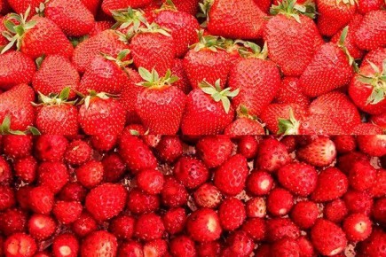 Клубника Виктория: почему этот сорт завоевал популярность среди садоводов?