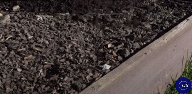 ��� ����������� ������ � ����: ������� ������ ��� �������������� �����