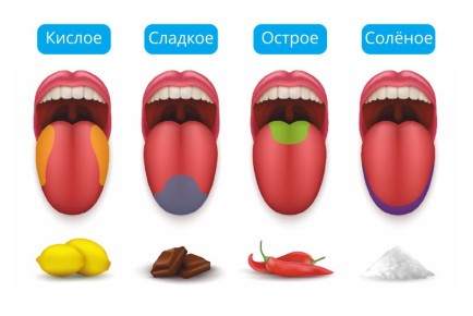 ������ ���� � ���� ������: ������������� ������� ���������� ����