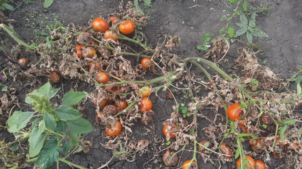 ��� �������� ����� �� ��������� ����� ����� �������