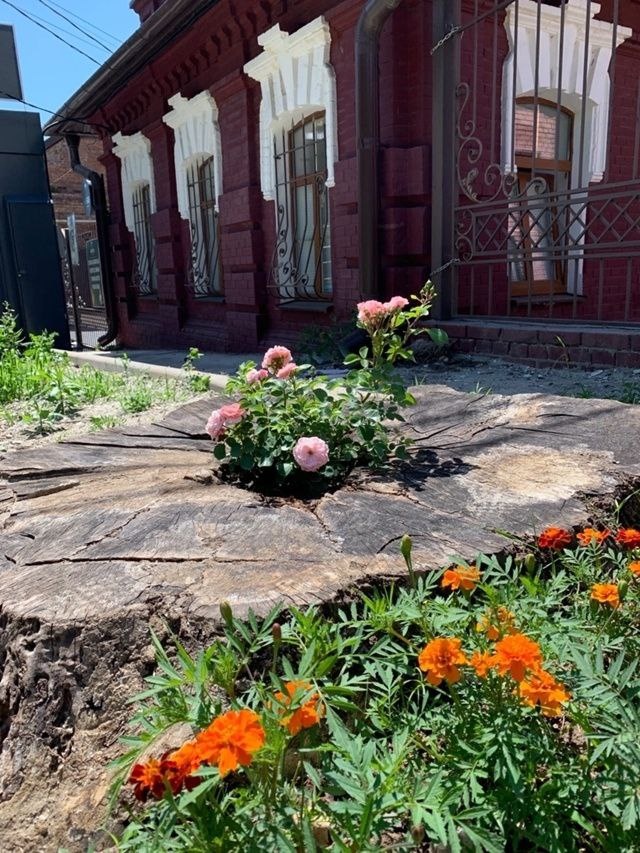 Почему бизнес игнорирует зелень вокруг?