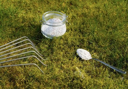 ���� ��� ��������� �������� ��� ������ � ���� �� ������