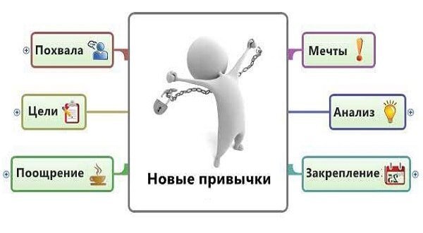 Как формируются привычки: от зубной пасты до здорового образа жизни