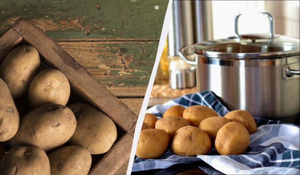 Как сохранить картошку свежей на полгода: советы и нюансы