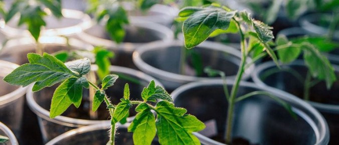 ��� �������� ������� � ������� ������� � ����������� ���������