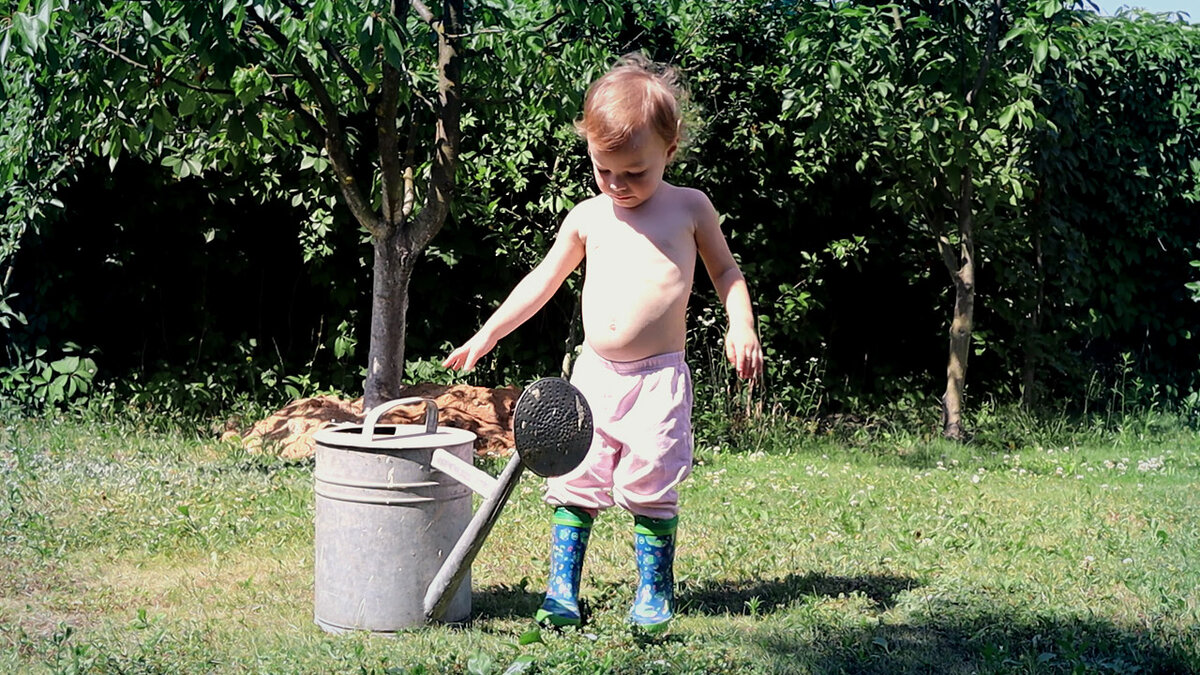 Как правильно поливать огород: важные советы для дачников