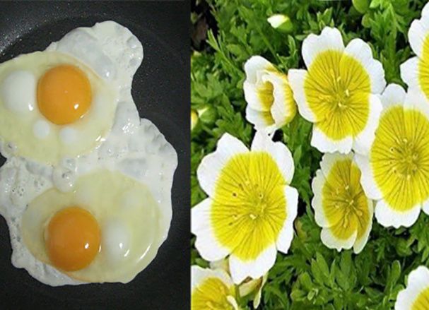 ������, ������� ������������� ����� �� �������