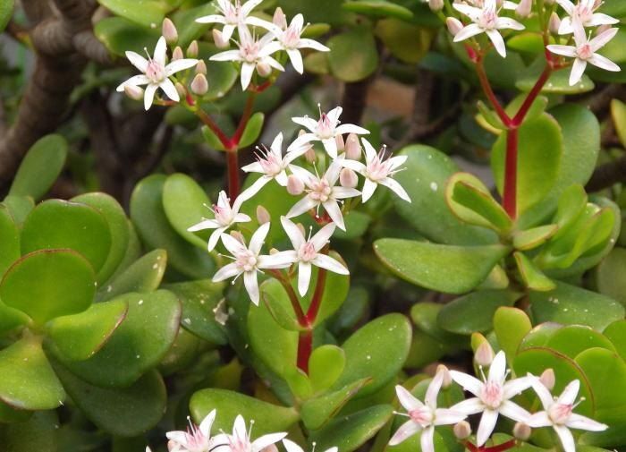 ���� �� ����������: ������� ��� ���������� �����