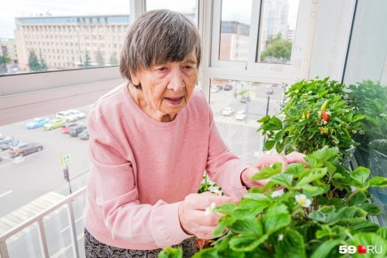 Почему огороды требуют удобрений сегодня: 10 научных причин