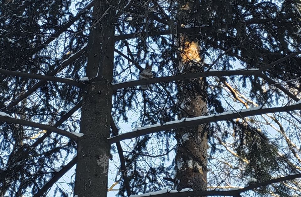 ��� ����� � ����� ����� ����: ������� ��� ������ ���������