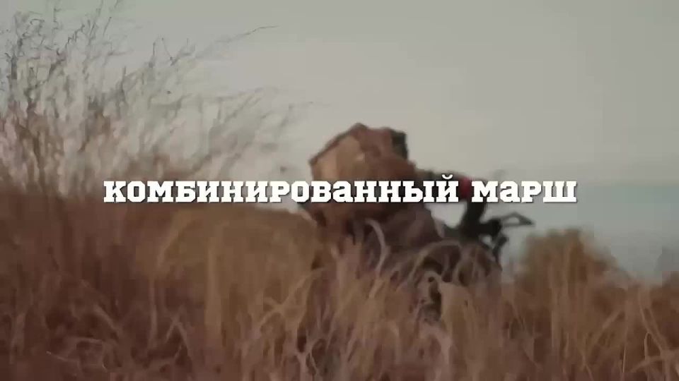 ����� ���������-�������� ������� � ������ �������� ������ ������������� ������-�������������� ���� �������� 2.0�