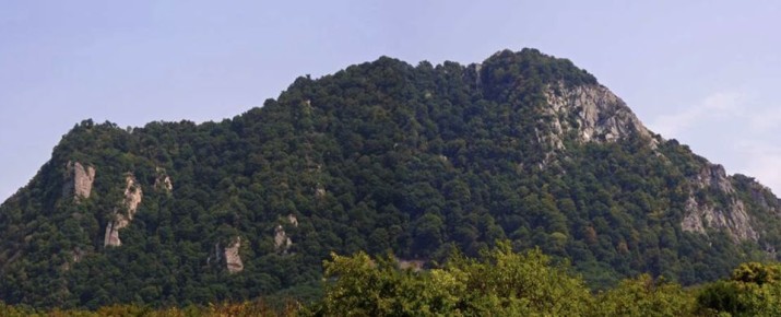 ������ ������ ��������: ���������� ����� ��� ������ �� ����