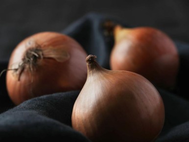 ��� ������� ������ ������������ � ���������� ��������� ��� ������ ����