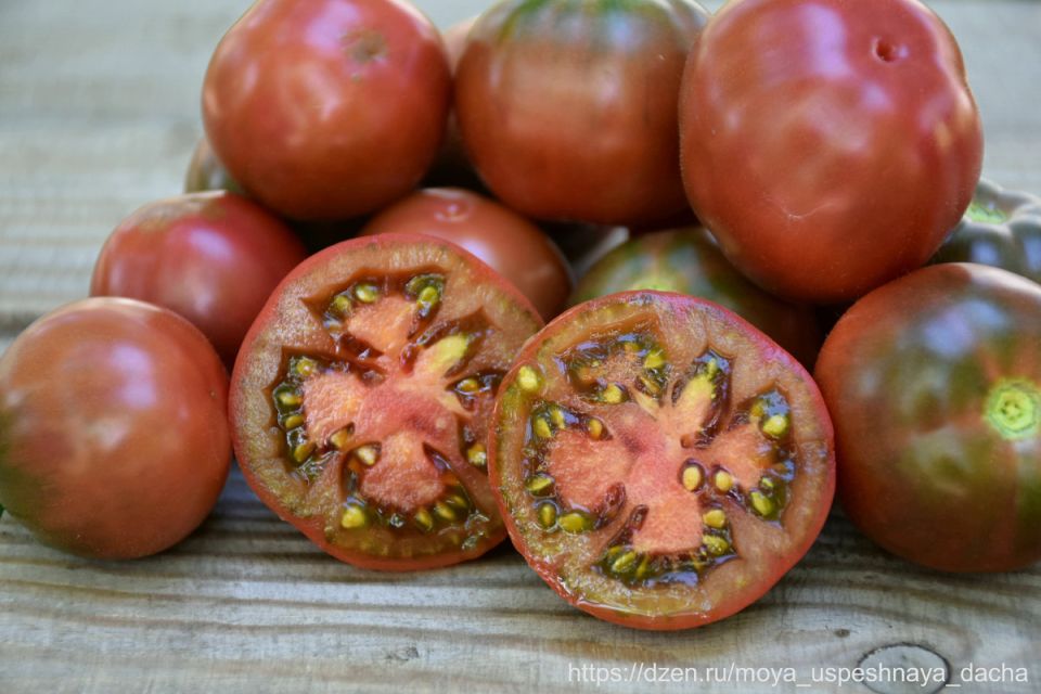 �����, ������� ������� ��������� ���������������: ����������� � ������ "�������"