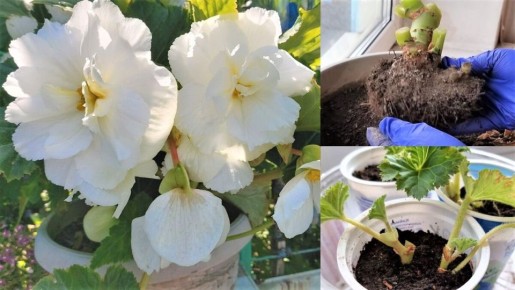 ������� ����� �� ��������� ��������: ������� � ����������� ���������