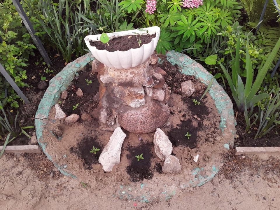 ������ ������� �������: ��� ������������ ������� ������ ����