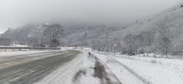 ������ ����, ��������� ������ � ����� ���������-���������� ����������!