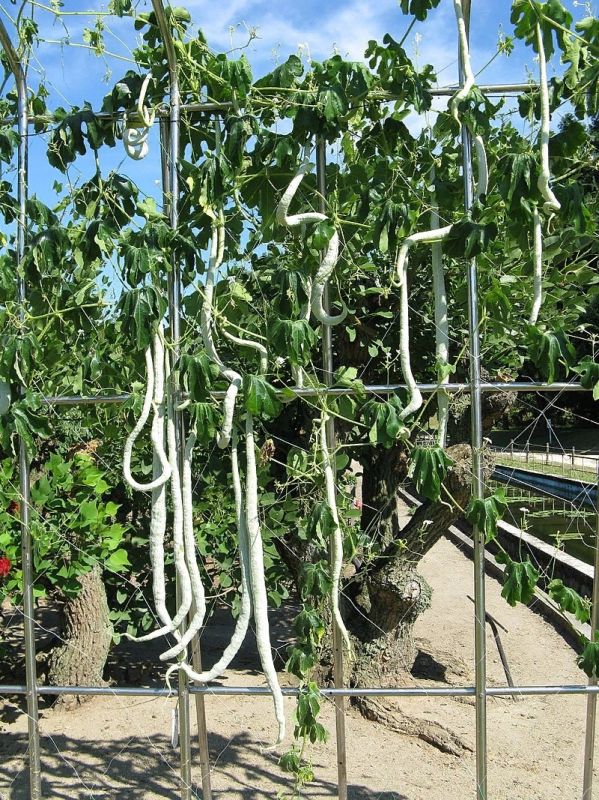 ����� ��������: ��� �������� ����� ������� ���� � ����