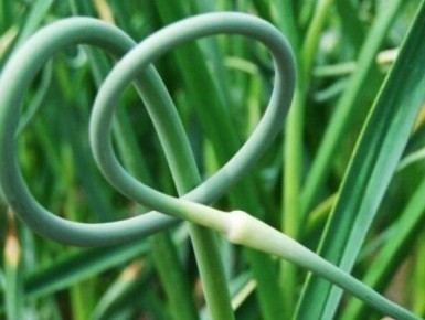 ������ ������ ���� ����������� � ��� ����� ��������