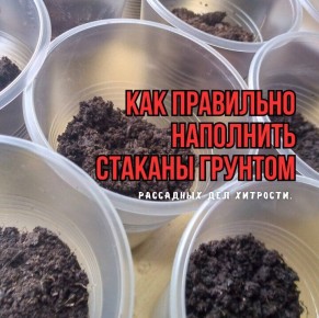 �������� ���������� �������� ��� �������: ��� �������� ������ � �������� ������