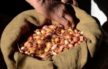 ����� ���������� ��� ����� ������ ��������: ������� ������