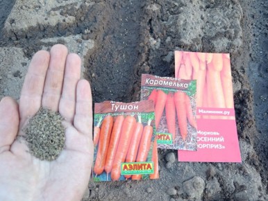 ���� �� ��������: ������ �� ����� ����� ������