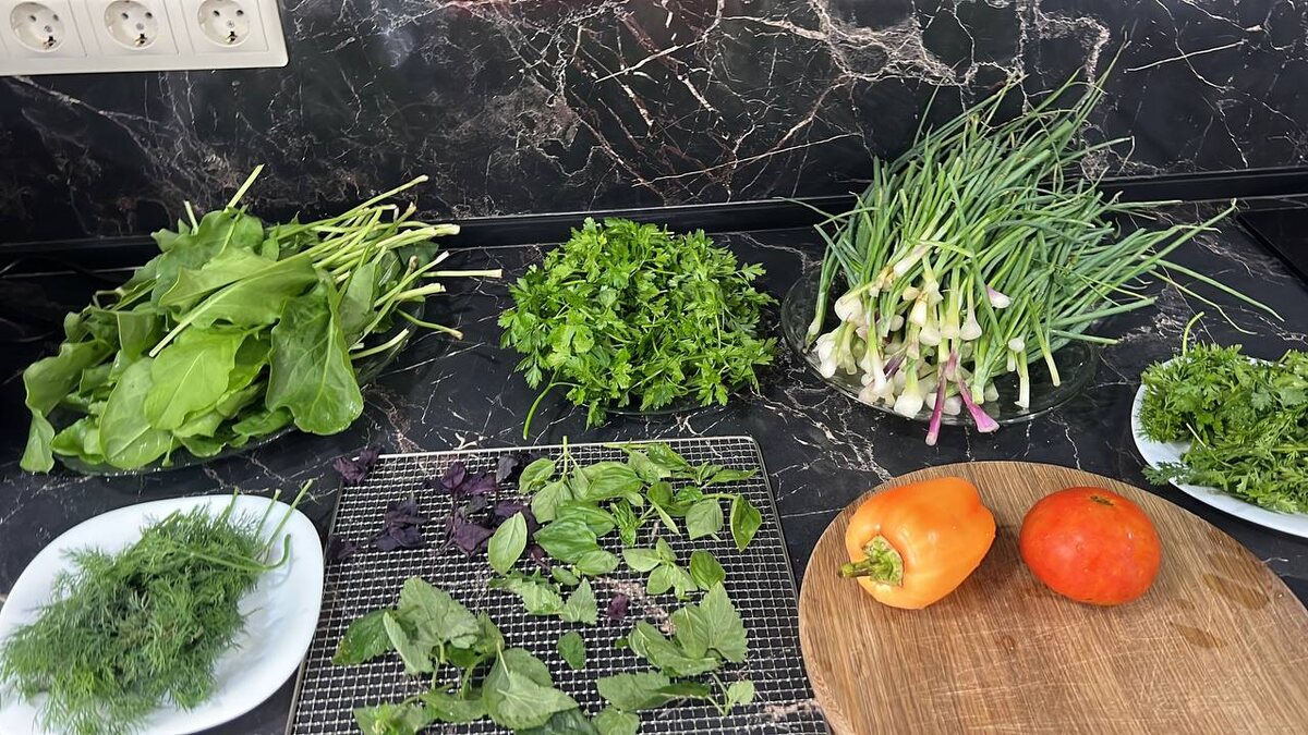 Ароматная зелень: секреты приготовления вкусных домашних специй