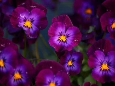 ����� � ����: ����� �������� ��������� ���������� ���������