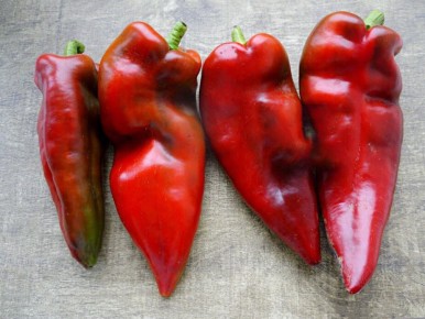 ��� ������������ ����� �����, ������� ������� ��� ������