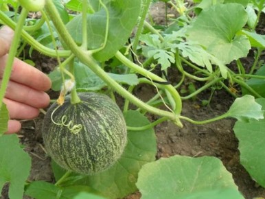 ��� ������� ��������� ������ ��� ����: ��� �������� �������