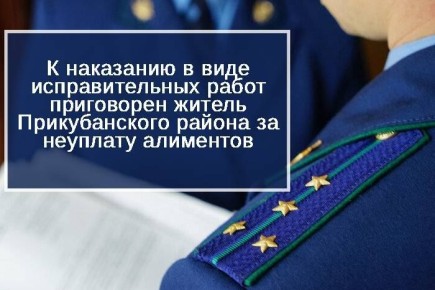 Прикубанский районный суд вынес приговор по уголовному делу в отношении местного жителя