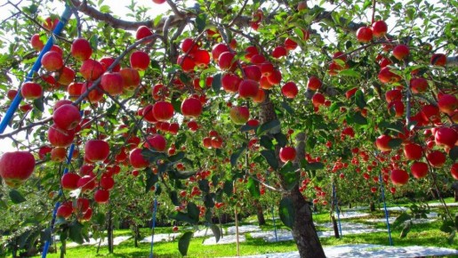 ��� ��������� ������� ����� ����� �������� ����� ����