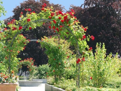 �������� ������ ��� ���: ������, ������� ��������