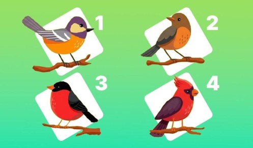 ����� �� ��������: ����, ���������� ������� ����� ������