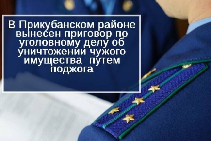 Прикубанский районный суд вынес приговор по уголовному делу в отношении местного жителя
