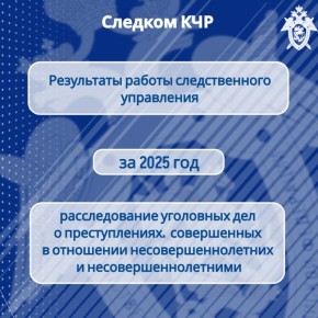 В следственном управлении обобщены результаты расследования преступлений, совершенных в отношении несовершеннолетних и несовершеннолетними за 2025 год
