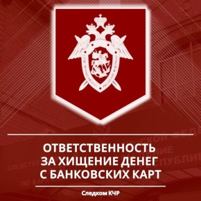 Следственное управление разъясняет об уголовной ответственности за хищение денежных средств с банковских карт