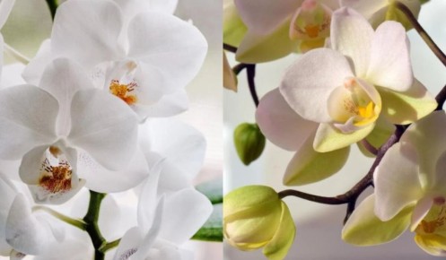 ��� ��������� �� ���������, ����� ��� �������� ��������� ������� ���