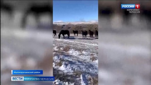 ��� ������ ������������� � ���������� ��������� �� ������������ ��������� � �����, ���������� �������������, ����� � ���������