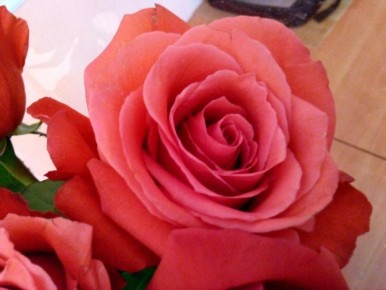 ������ ����� ������ �������: ������ �� ����� ����� ��������