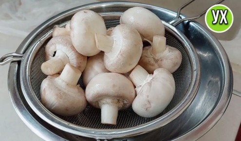 ����� ��� ���������