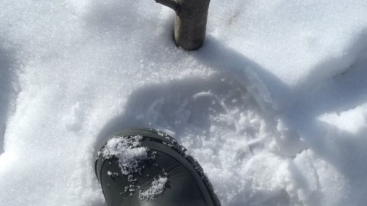 ����� �� ��������� ���� � ���������� ��������